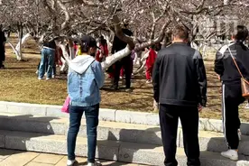 2日，呼和浩特桃花已进入初开期，公主府公园现场市民纷纷拍照打卡留念，文明赏花哦#呼市观察 #桃花开了 #文明赏花视频封面