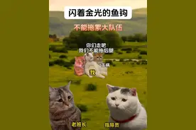 你还记得课文《金色的鱼钩》吗？#猫meme小剧场#致敬英雄#长征#真实还原