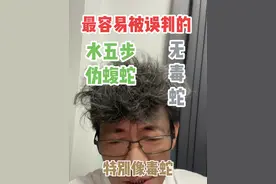 容易被误判的无毒蛇#颈棱蛇 #伪蝮蛇 #水五步视频封面