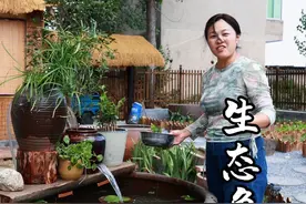 有鱼有水福自来，今天用废旧的大水缸做了一个瀑布生态流水鱼缸，很喜欢这样的农村生活，安静闲适#农村生活 #我的乡村生活 #小院改造 #田园生活小院 #生态鱼缸视频封面
