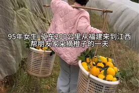 一根扁担，一担箩筐，一群勤劳的人民，收获的背后满是农民的心酸与不易#日常vlog #农村女孩日常 #抖音助农#记录真实生活视频封面
