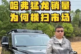 哈弗猛龙销量为何横扫市场？是“造壳子”还是真良心？ #2024哈弗猛龙视频封面