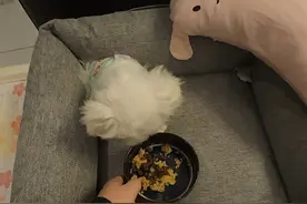 vlog｜自律生活带娃#日常vlog #90后带娃 #自律 #记录真实生活 #享受生活