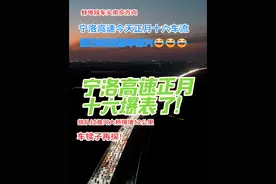 宁洛高速今天正月十六的车流量直逼年初六，目前蚌埠段排队过淮河大桥拥堵12公里，路过可以沐河口枢纽右转泗蚌高速再左转凤阳支线高速江山枢纽回到宁洛高速主线，多绕10公里节约40分钟左右，车犊子再探！#春运 #宁洛高速 #蚌埠 #返程高峰 #堵车视频封面