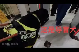 衷心感谢同仁西苑按规定允许导盲犬领着盲人畅通无阻。真心希望导盲犬们别受委屈，都能快乐的工作！衷心感谢大家对导盲犬的包容！#导盲犬 #盲人 #让世界充满爱视频封面