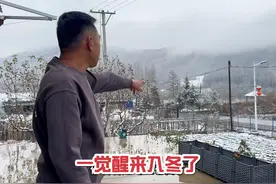 东北林区迎来首次降雪，一夜之间变成冬天，吃点热乎豆包御寒吧视频封面