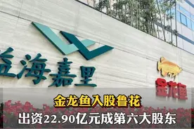 金龙鱼入股鲁花，及其关联方香港嘉银以 55.69 亿元股权作价增资，金龙鱼出资 22.90 亿元获 10.9536%股权成第六大股东。#金龙鱼#鲁花#食用油视频封面