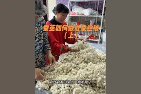 今天河北保定的一位姐姐拿来了一包朋友送的蚕茧想做床蚕丝被，放在家里很多年了，明知道是好东西就不知道怎么处理利用，先打开看看蚕茧质量怎么样#蚕茧如何做成蚕丝被 #蚕茧做蚕丝被的过程 #蚕丝被#蚕茧做蚕丝被