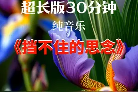 纯音乐欣赏：《挡不住的思念》，听乐赏花看文，让生活处处充满爱视频封面