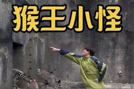 去清远长隆当一天保育员？#动物园的松弛哲学 #这个春天总要去趟广东吧