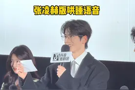 #张凌赫版哄睡语音 这听了谁还睡得着啊啊啊啊！！#张凌赫 #电视剧爱你