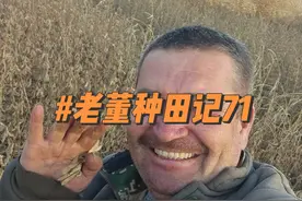 国庆快乐！快秋收了，丰收的季节到了！ #抖音记录农村生活 #国庆节