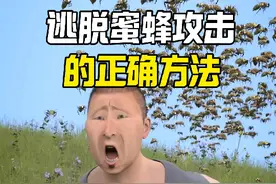 遇到一群蜜蜂攻击，如何安全逃脱 #知识科普 #冷知识 #生活常识科普
