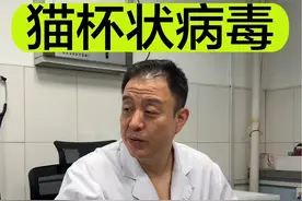 猫杯状病毒 #猫杯状病毒 #猫杯状病毒口炎 #猫口炎 #猫感冒 #猫呼吸道感染