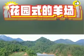 今天一起来参观一个花园式的羊场#乡村振兴 #绿色生态农业 #农村创业养殖 #我为家乡代言 #生态放养视频封面