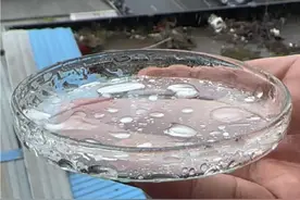 雨水放大，知道为什么不要淋雨了吗 #显微镜下的世界 #科普一下 #雨水 #淋雨 #微观世界