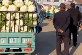 黄心大白菜 白菜    0.2-0.25 香菜1-2.5 豆角1.6-3 菠菜0.5-1.5 茼蒿1-2 芥菜疙瘩0.6-0.7 大头菜   0.5-1 紫圆葱1.1-1.4 黄圆葱0.6-0. 9   紫甘蓝0.7-1.1 通货芋头1-1.1 小芋头1.5-1.6 中芋头1.6-1.8-2 大芋头1.9.-2.5   哈蜜地瓜   2-2 .1 西瓜红1-1.4 烟薯25     1.3-1.6      榴莲地瓜3-3.2 秋月梨1-2.6 桃2-4.5 有机花0 .8-1.3 西兰花1.5-2.6左右   平菇2.8-3.3   小香菇2.6-3 中香菇4.3-4.6 大香菇6.5-7 杏鲍菇（5斤）2.2-3 白玉菇（4斤）4-5 金针菇（8两）2.4 金针菇（4斤）2.5-3 娃娃菜（包）5 .5   半毛葱1.-1.3 净葱   1.4-1.7 干新蒜 3.6-6.5。 水洗干姜4-6                 新姜2.5-3    带樱胡萝卜0.8-1.1       小土豆(2-4)0.5-0.6        大土豆3两底0.65-0.7 东北土豆3两0.65-0.9 贝贝南瓜 1 .8-2.2       板栗南瓜 1.2-1.6 甜交黄瓜0.8-2.2 芹 菜 1-1.2 茭瓜  1-1.6       粉西红柿 1.5-4 大冬瓜0.8 -1.1 小冬瓜 1-1.6 白萝卜 0.3-0.5 水洗胡萝卜1-1.4 水果萝卜  0.8-1 带樱青萝卜0.2-0.3 小白嘴山药 3.3- 5   白玉山药2.-3 芸豆  2-4         尖椒   2-3.6 青椒  1.5-2.5 彩椒   2-4     紫把茄子 1-2.5    上海青油菜0.5-1   苦瓜2.5-3.3 丝瓜2.5-3.3 草莓西红柿  4-6 #大白菜 #抖音助农 #记录摆摊生活 #农村生活 #农村美食视频封面