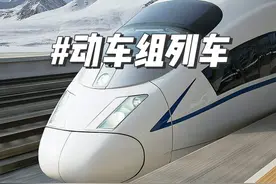 还在说D字头是动车，G字头是高铁？那你们可就大错特错了，本期视频将向各位分析如何选择性价比最高的动车组。#火车 #铁路 #知识领航者 #高铁