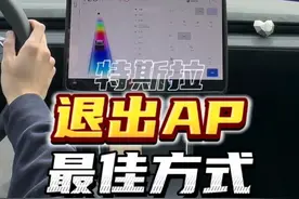 特斯拉退出AP的最佳方式。#特斯拉modely #特斯拉 #特斯拉model3