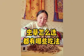 断草品相不如整草，但是其他的都不比整草差 #冬虫夏草 #藏族姑娘 #那曲拉姆视频封面