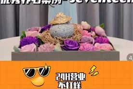 石小净的含金量还在上升，你们会养石头吗？#宠物石 #石小净视频封面