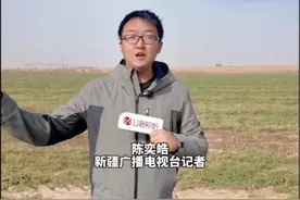 你真的没有看错 这里是塔克拉玛干沙漠 #新疆#策勒#塔克拉玛干沙漠#沙漠锁边#治沙视频封面