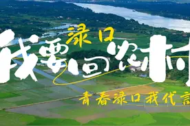株洲市渌口区撤县改区六周年了！#直播株洲视频封面