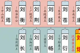 汉朝皇室世系图〔东汉〕  #汉朝 #刘邦 #历史 #中国历史视频封面