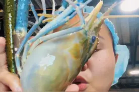 全世界最大的淡水虾#美食 #抖音美食推荐官 #钓鱼 #钓虾