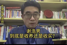 谢浩男：到底是收买还是收养？视频封面