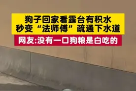 狗子回家看露台有积水，秒变“法师傅”疏通下水道#没有一口狗粮是白吃的 (编辑:小甜，编审:安倩，监制:赫振贤)视频封面