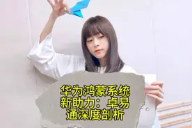 华为鸿蒙系统新助力：卓易通深度剖析