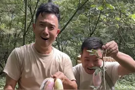 八月瓜，九月炸，就问这野生水果你吃过吗？#农村生活#八月瓜