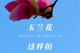 玉兰花开了这样拍也太好看了，简单好学，分享给朋友学起来吧#拍花技巧 #交换一朵春天的花 #玉兰花 #春天当然要拍花啦 #有一种春光叫玉兰花开