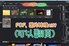 PDF、图片制作多页（可以翻页）的tiff文件 #干货分享 #职场