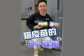 猫疫苗8个真相#新手养猫 #养猫人 #养猫新手视频封面