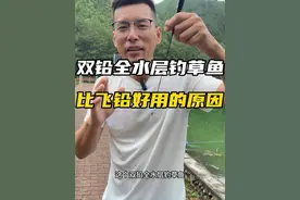 双铅全水层钓草鱼为什么比飞铅上鱼快，这期视频给你答案 #钓鱼技巧 #钓草鱼#滑漂#飞铅#老坛果酒玉米视频封面
