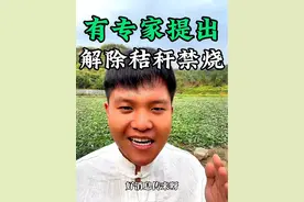 听说有专家提出解除秸秆禁烧的问题#焚烧秸秆 #秸秆焚烧 #分享农业知识帮农民增产增收 #新农人计划2024 #来抖音学农技视频封面