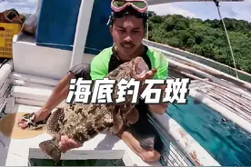 渔民将钓钩放在海底，钓到的全是大石斑，赚大了#户外 #潜水视频封面