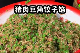 猪肉豆角饺子馅做法#妈呀太香了 #豆角猪肉饺子馅做法 #美食教程 #饺子馅