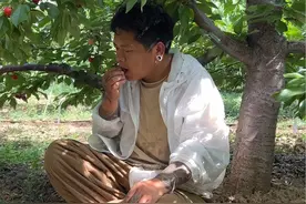 陕西澄城樱桃，樱桃届的天花板。 #新农人 #吃樱桃的季节 #新鲜采摘 #我的乡村生活 #澄城樱桃甜蜜蜜 要不要跟我做朋友，实现樱桃自由，咥樱桃的天花板，美的增怂。视频封面