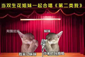 当双生花姐妹一起合唱《第二类我》#猫meme #双生花 #细思极恐