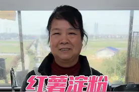红薯淀粉煎粑粑 制作简单，粑粑香糯嫩滑，大人小孩都爱吃#美食分享 #红薯粉 #太香了