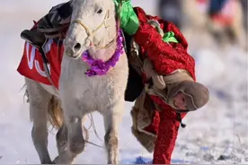 又是展现马上技巧的时刻！00后蒙古族姑娘马上拾哈达 动作行云流水 又美又飒 #冬季蒙古马超级联赛开赛#大草原才适合骑马 2024年锡林郭勒冬季蒙古马超级联赛锡林浩特站开幕视频封面