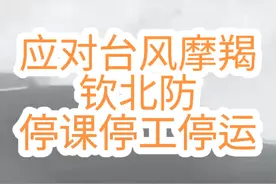 #广西dou知道 #广西新闻早知道 #台风摩羯 北海、钦州、防城港最新通知：“停课、停工、停游、停市、停运”视频封面
