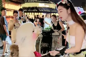 我就吃免费的咋滴？ 萝卜墩：付钱的东西！本驼从来不吃！付钱就吐你！就问你服不服？#羊驼 #全网最聪明的羊驼 #你妹的羊驼你也骗 #就问你服不服视频封面