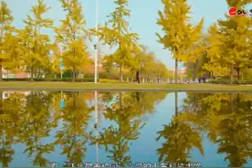 山东理工大学： 秉持着德育为首的教育理念视频封面