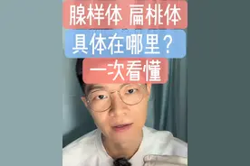 一次看懂：腺样体，扁桃体，具体在哪里？ #腺样体肥大 #扁桃体肥大 #小儿耳鼻喉许医生 #腺样体面容 #医学科普