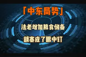 中东局势，法老增加粮食储备，胡塞成为眼中钉#中东局势最新消息视频封面