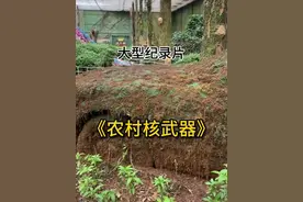 一年两箱油，人称鬼见愁，农村核武器！#打工人#僵尸车#过年